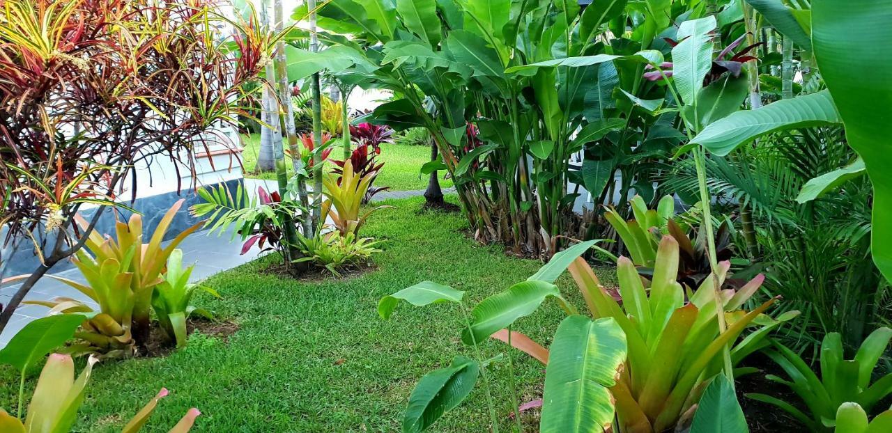La Selvita Baja Mar Exterior foto